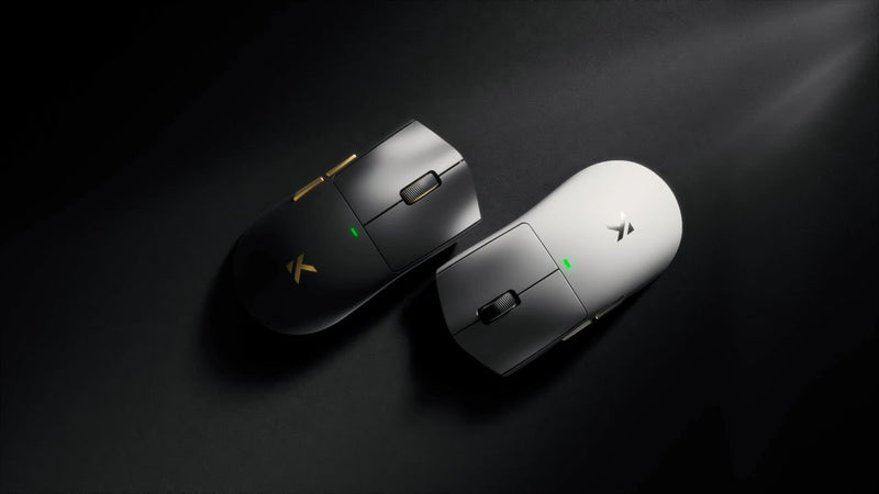 Mouse